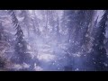 I want to fly like a bird | wind sound in the winter forest