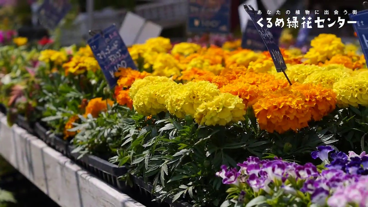 くるめ緑花センター あなたの植物に出会う街