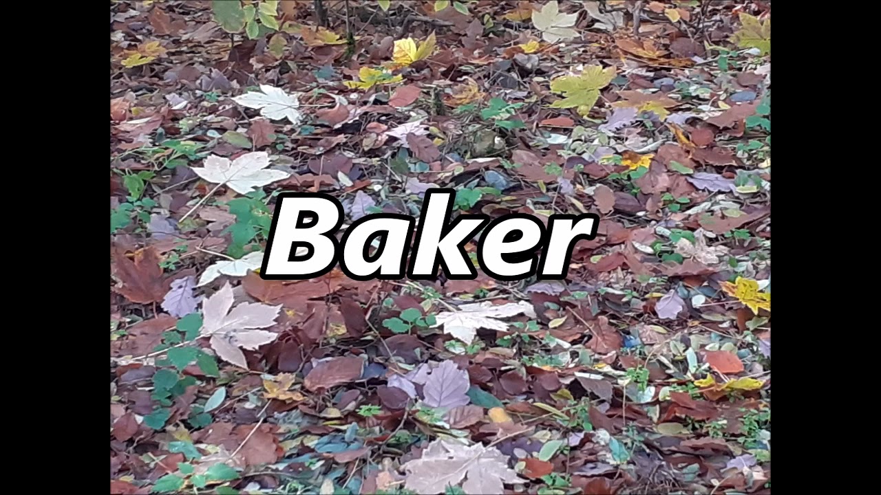 BAKER As Family Name Meaning And Origin YouTube BAKER As Family Name Meaning And Origin YouTube