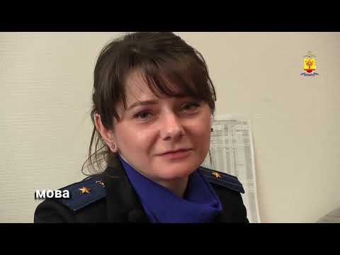 Дело за Следствием