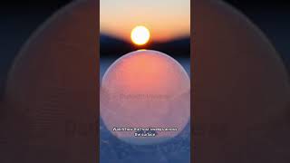 Soft frozen beauty #FrozenBubble #MacroMagic #AestheticVibes #ChillMoments #NatureCloseup #nature
