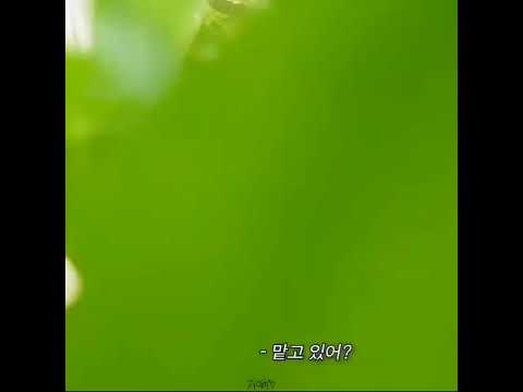 [2PM/우영] 극강 P의 여행 당일 짐싸기