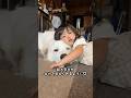 0歳児の頃は超大型犬の方が甘えてたのにその2年後は逆になってました😆笑