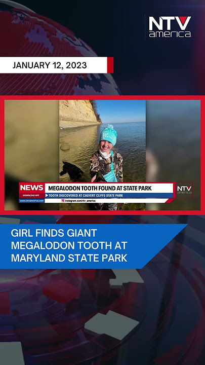 Girl finds giant megalodon tooth at Maryland state park.
