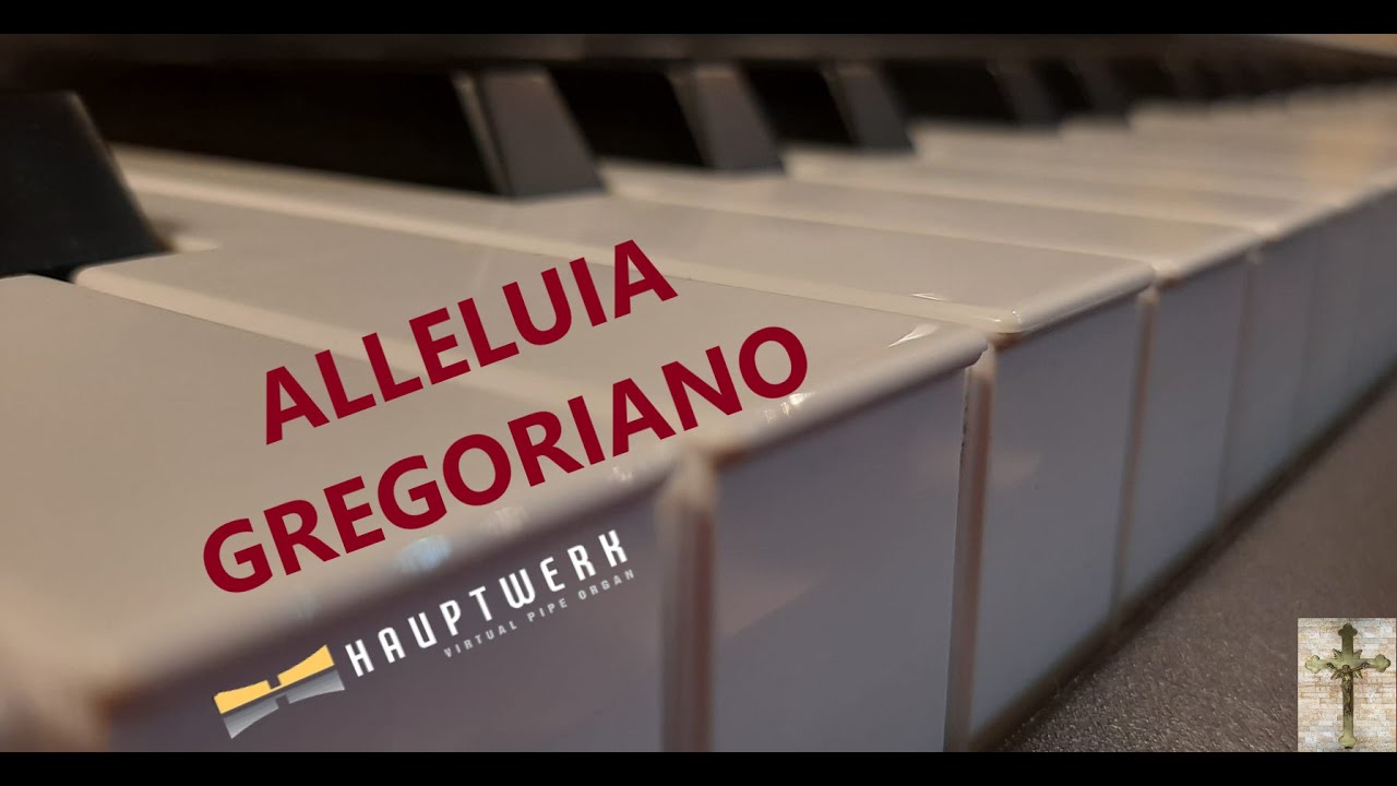 ALLELUIA GREGORIANO //Hauptwerk Wildervank - YouTube