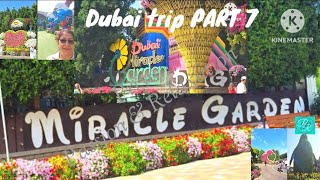 Dubai Miracle Garden(DMG)@Dubai trip PART 7