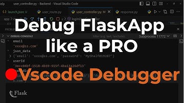 Revolutionize Your Flask Debugging: Say Goodbye to Print Statements!