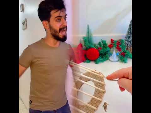      ابو زيزو فايب مسلية أداء ارتباط بوف هزلي فيديو