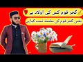 گجرقوم کس کی اولاد ہے یعنی گجر قوم کی سلسلے نسب کیا ہے