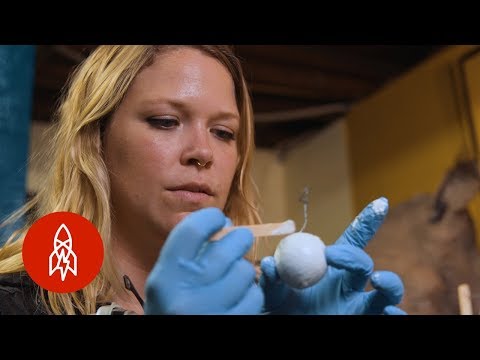 Taking on Turtle Egg Poaching With Fake Eggs