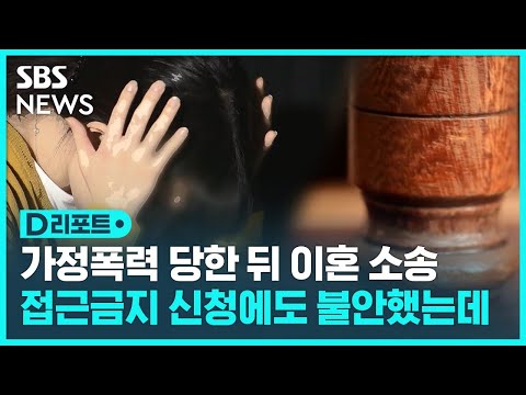 가정폭력으로 이혼 <strong>소송</strong>…<strong>형사</strong> 처벌까지 한꺼번에 재판 가능해질까 / SBS / #D리포트