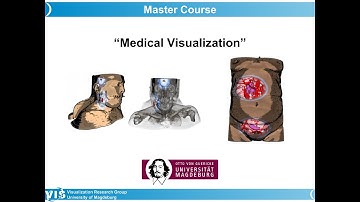 Medical Visualization - Vessel Visualization (2)