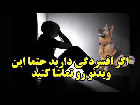 تصویری: نحوه درمان حیوانات خانگی