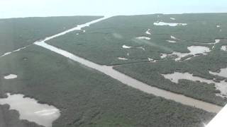 ARRA Funds Help Save Everglades Habitat