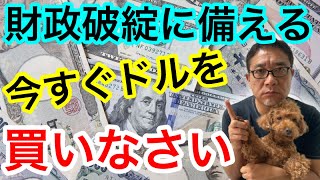 今すぐドルを買いなさい！ドル円予測 日本56兆 米国220兆の経済対策でどうなる？ 超インフレに備える【#348】