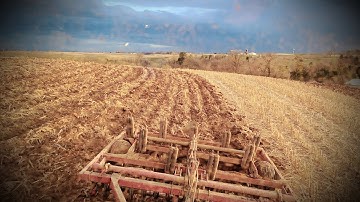 Chisel PLowing WIth A John Deere 4640  Case International 6500
