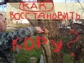 Восстанавливаем кору дерева