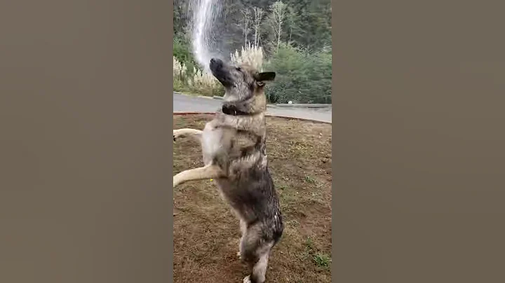 Get it