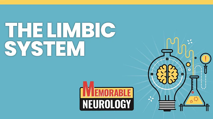 Limbic System Mnemonics (Memorable Neurology Lectu...