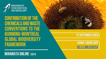 Minamata Online: Contribution of the chemicals and waste conventions to the Biodiversity Plan