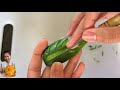 Easy Cucumber Carving by barbie Handicraft แกะสลักใบไม้จากแตงกวา แบบง่าย ๆ by barbie handicraft