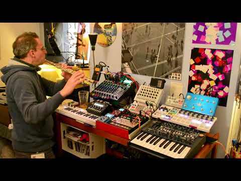 Experiments in flute + live hardware electronix