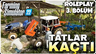 EFSANE'NİN DURUMU İYİ DEĞİL. BAYRAM SEVİNCİMİZ YARIDA KALDI | FARMING SIMULATOR 22 #RP3 #fs22