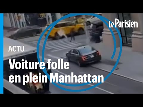 Vidéo: Scoop pour animaux de compagnie: Un policier de la NYPD adopte un chaton qu'elle a sauvé, un chien effrayé retrouvé plusieurs semaines après la tempête