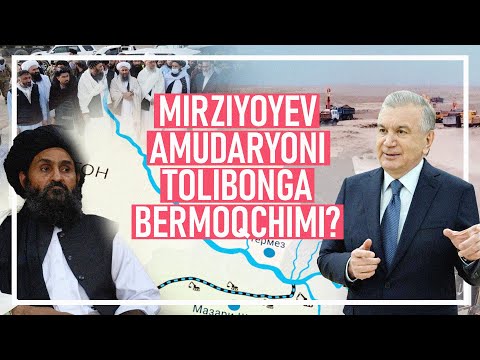 Video: Mach uchun poyga