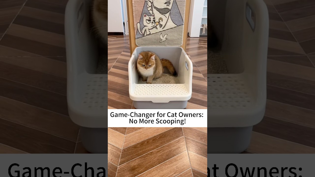 No More Scooping – Just Lift and Done! 