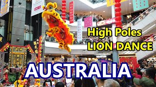 High Poles LION DANCE Performance in Sydney AUSTRALIA