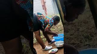 Jackie Felix Washing