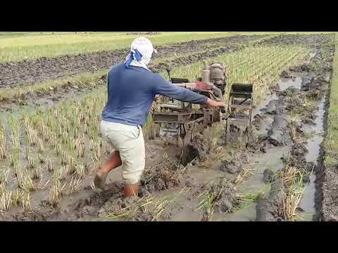 Video: Pembudidaya Bajak: Bagaimana Cara Membajaknya? Bagaimana Cara Menempel Pada Motor Pembudidaya? Bagaimana Cara Memilih Bajak Yang Berkualitas? Dimensi Dan Karakteristik Lainnya