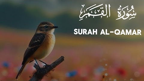 54 | Quran | Коран | Surah Al-Qamar 10 times | سورة القمر | Сура Аль-Камар 10 раз #omerhishamalarabi