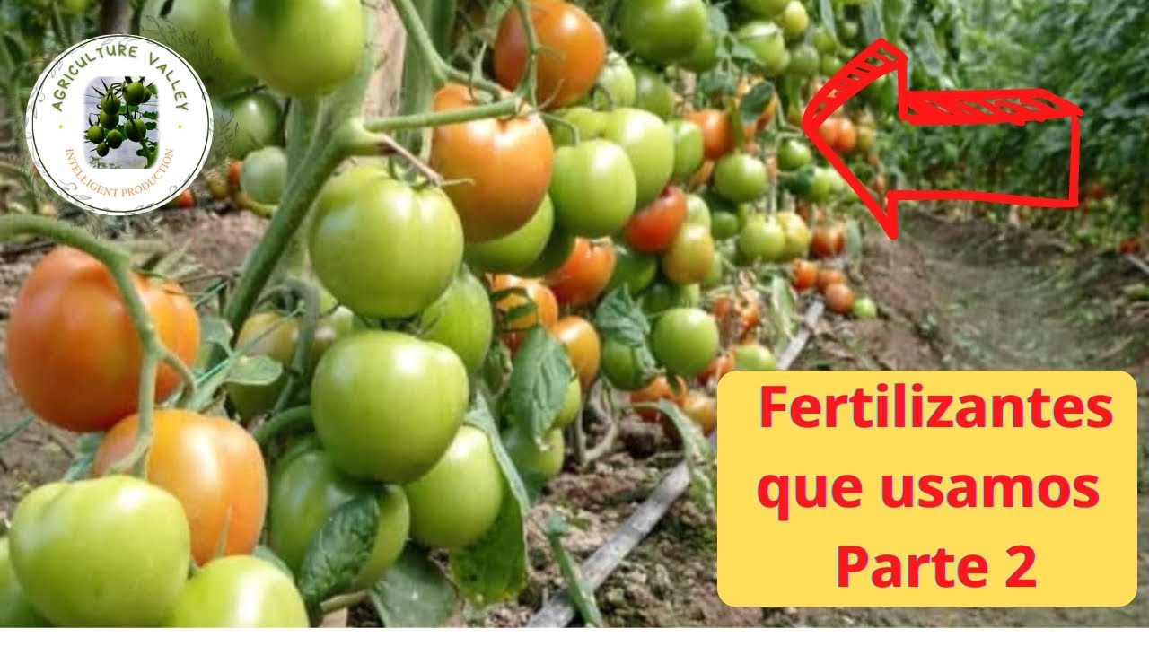 LOS MEJORES FERTILIZANTES parte 2 - Compo Expert