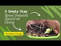 How to Grow Pointed Gourd Without buying Seeds!! 🌱🥰 | Growing Parwal at home #youtubevlog #viral