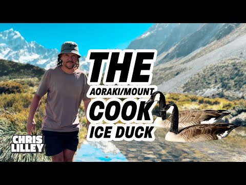 The Aoraki / Mount Cook Ice Duck - New Zealand
