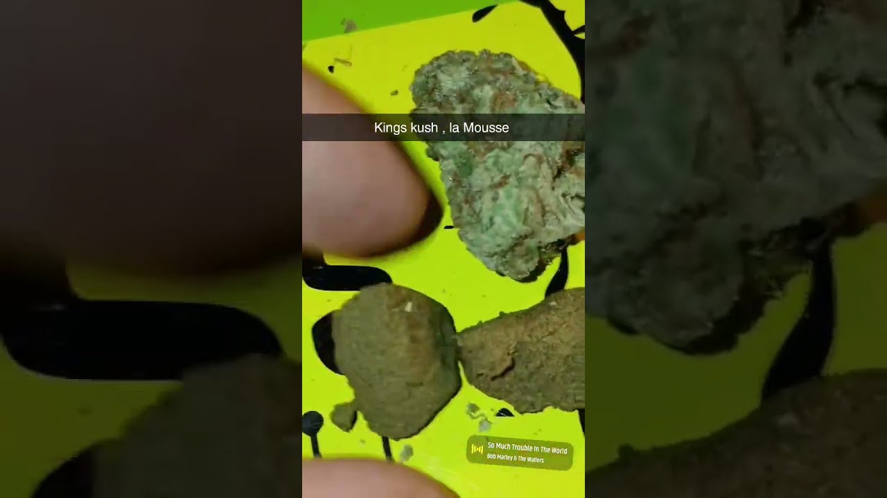 Kings Kush x La Mousse 