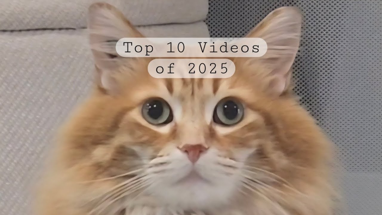 ✨Walter's Top 10 Videos of 2025✨