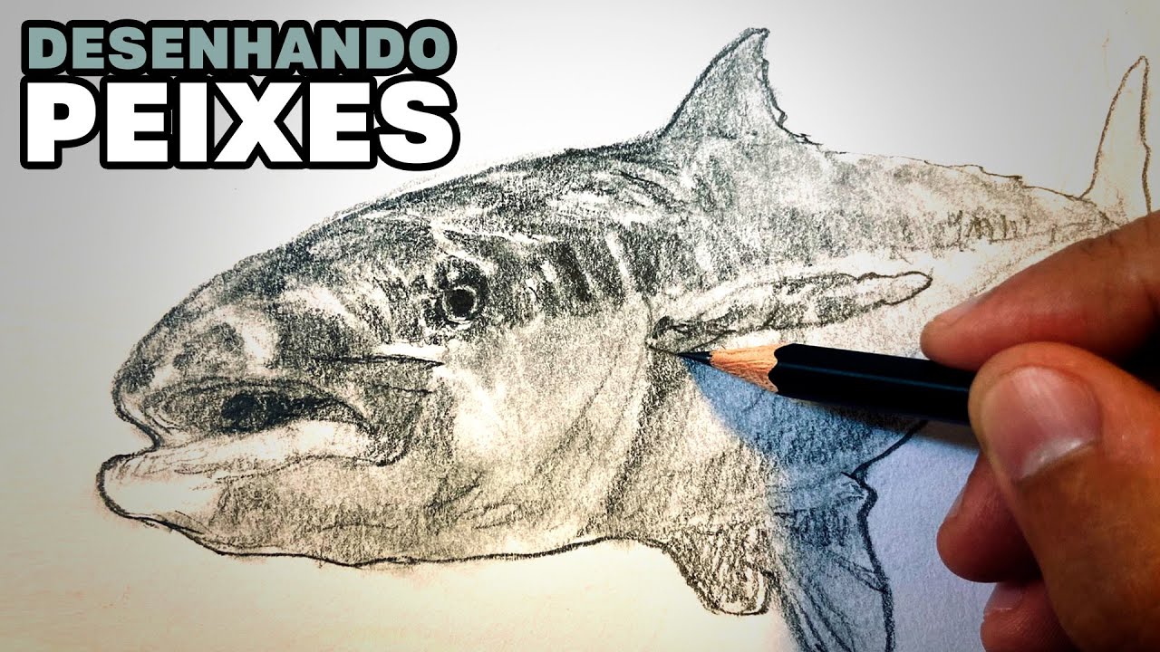 Desenhe PEIXES para aprender Dynamic Sketching, Contour Lines, Gesture e Caustics