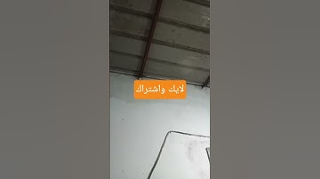 تلاوة ماشاء الله تبارك الرحمان #quran