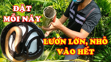 Chia Sẻ Làm Mồi Đặt Trúm Lươn - Lớn Nhỏ Vào Hết | QUỐC DŨNG TC