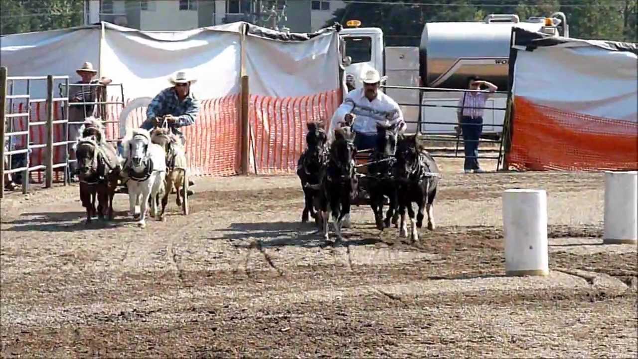 minichuckwagon races fall fair YouTube
