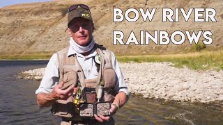 Bow River Rainbows | Fish Tales Fly Shop