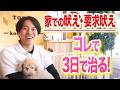 【犬しつけ】犬の要求吠えはコレで治ります。【ドッグトレーナー解説】