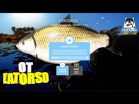 Русская рыбалка 4.🎣🦈 р. Ахтуба 🐳💦 РЕДКИЙ ТРОФЕЙ от LATORSO 👀