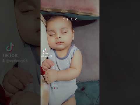 حلوته حلوته نايم نه نه كل شويه سكبر يكبر سينه سينه