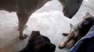 WP 20140409 004