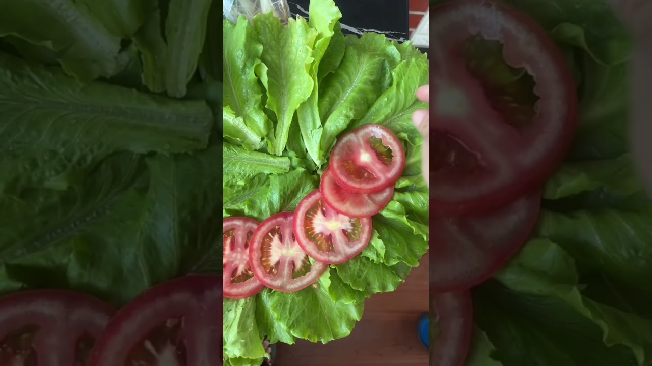 ឡុ-ក-ឡា-ក់-សា-ច់-គោឳក្មេ-កហូ-បហេីយសរសេីមិ-នដា-ច់ពីមា-ត់😁👍