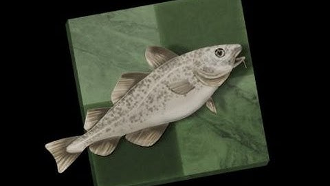 How to Compile a Stockfish Chess Engine